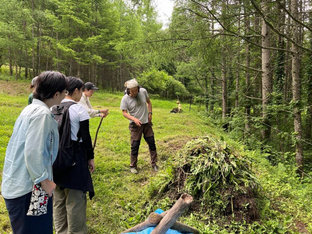 自然の中のハーブ栽培ガーデン